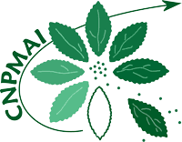 Logo CNPMAI